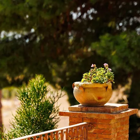 別荘 La Terrazza Sul Mare